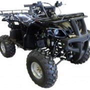 Квадроцикл IRBIS ATV150U 150сс 4т фото