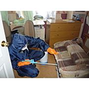 Уничтожение клопов фото