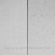 Стекломагниевый лист MAGELAN класс Премиум-01 1220*2440*8 мм бежевый шлиф. без фаски (60 листов/уп) фотография