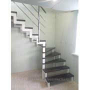 Лестницы на металлическом косоуре, сосна фотография