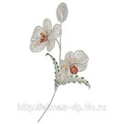 Сувенир «Орхидея» фото