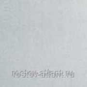 Краска “Масляно-фталевая эмаль“ (светло-серая) (1л) Sniezka (8-989-704-13-06 - Эдгар) фотография