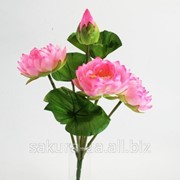 Букет / Лотосы / 0,37 м / 3 цветка, 1 бутон, лягушка, 3 листа / Розовый e33081