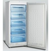 Морозильный шкаф SFS170 фото