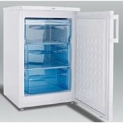 Морозильный шкаф SFS110 фото