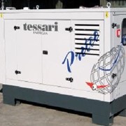 Дизельные трехфазные электростанции, дизельные генераторы TESSARI из Италии фото