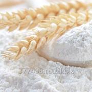 Мука пшеничная по России и на экспорт. фото