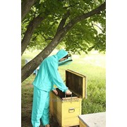 Костюм пчеловода Beekeeper габардин с маской Евро