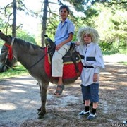 Организация праздников с участием лошадей, пони и осликов.Одесская область, Великодолинское, Большая Долина фото