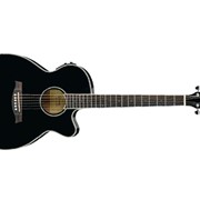Электроакустическая гитара Ibanez AEG10II (BK) фотография