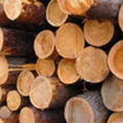 Лесоматериалы, доска, брус, рейка, дрова, опилки, лес кругляк. фото