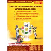 Курсы подготовки по информатике Пушкино  фото