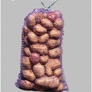Посадкова картопля фото
