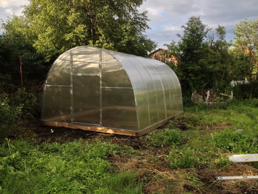 Куплю Теплицу Из Поликарбоната Недорого Богородск Нижегородская