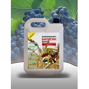 Биоудобрение для винограда Биоксин фото