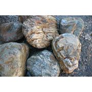 Камень «Бонус» для альпийских горок и садов камней. фото