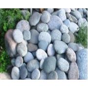 Камень природный для дорожки - блины. Размер L 8-15 см. , d 1,5-3 см. фото