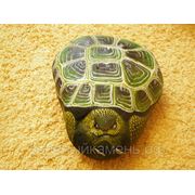 “Большая черепаха“. фото