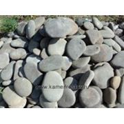 Камень ландшафтный плоский серый фото