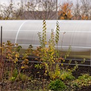 Теплицы из оцинкованной трубы размером 4м, 6м, 8м из трубы 40х20 и 20х20 Агро, Титан, Сибирская, Престиж. Полный комплает , поликарбонат . Доставка 14430-22-63 фото