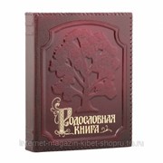 Родословная книга - Изысканная в оплетке. фотография