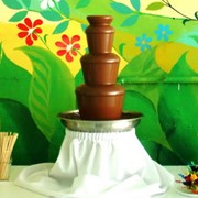 Аренда шоколадного фонтана на 5 кг фото