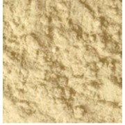 Клейковина пшеничная сухая фотография