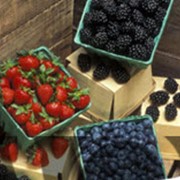 Контейнеры для хранения фруктов фото