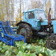 Капустоуборочный комбайн фото