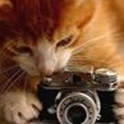 Услуги рельефной фотографии фото