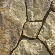 Натуральный камень песчаник желто-коричневый “дракон“ фото