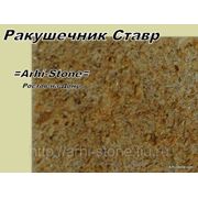 Плитка из натурального дагестанского камня ракушечник ставр