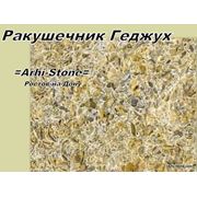 Плитка из натурального камня ракушечник Геджух