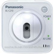 Panasonic BL-C210CE Видеокамера цветная сетевая, с поворотным устройством беспроводнаяВнутри помещений,H264/JPEG/MPEG-4 (до 640*480, макс 15к/сек.), фото