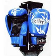 Перчатки боксерские P.TECH кожа синие CliFF, 8 OZ