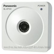 Panasonic BL-VP101E Видеокамера корпусная,цветная, внутр., VGA 640x480 H.264/JPEG, 1/5' МОП, 0,9 лк цвет, Onvif, 6,5 В DC, адаптор в комплекте фото