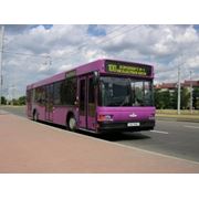 Автобус городской МАЗ 103 фото