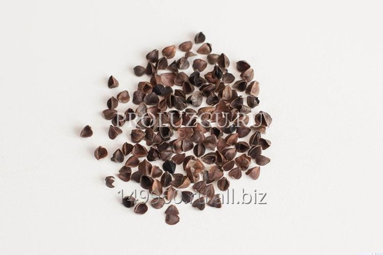 Лузга гречихи. в Орехово-Зуево (Гречиха) - Ибреев Д. Г., ИП на Bizorg.su