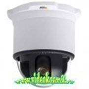 AXIS 233 D 50Hz (0265-001) - Видеокамера сетевая (IP камера) купольная поворотная, Axis фотография