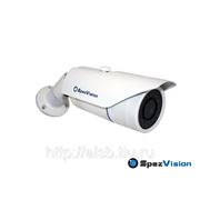 IP-камера Spezvision SVI-613 фото