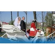 Катание свадеб на каретах