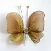 Бабочка маленькая салатово-коричневая 12*9 см фото