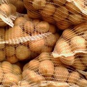 Крупный опт картофеля из Беларуси фото