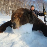Охота на камчатского медведя в комфортных условиях фото