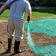 Устройство газона (сеянный, рулонный, гидропосев) фото