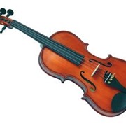 Скрипка GLIGA Violin 3/4 Genial I фото