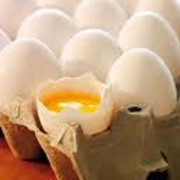 Яйца домашней птицы, яйца куриные фото