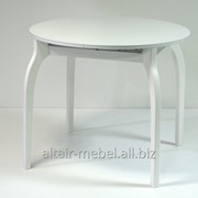 Стол обеденный Верона-К, цвет белый фото
