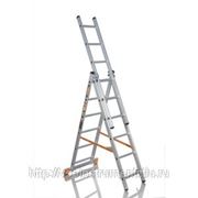 Трехсекционная лестница эйфель тл 3х6 фото