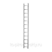 Односекционная приставная лестница ЭЙФЕЛЬ ЛП 7 ступеней фото